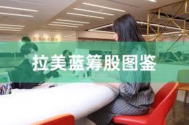 拉美蓝筹股图鉴